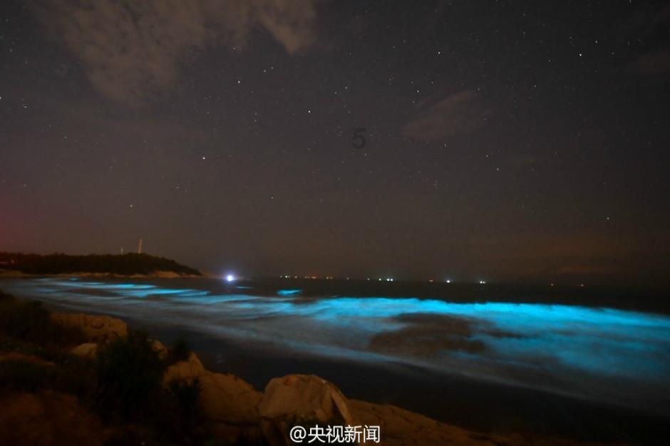 逃离仿真森林