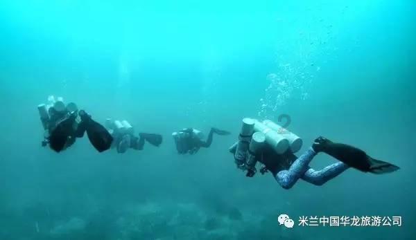 小猫钓鱼游戏龙王版有船