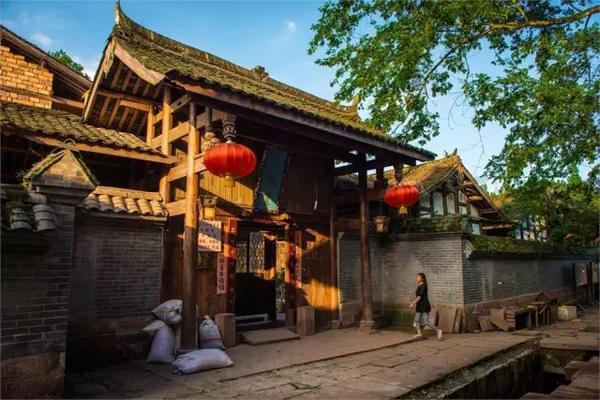 拯救科学家